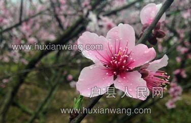 QQ%E6%88%AA%E5%9B%BE20170321163951.jpg