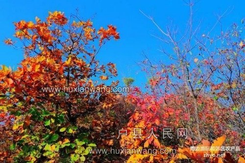 81ed35fbebed4c30aaa7047cce0ed9e0.jpg