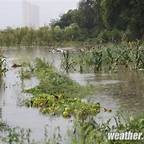 20190917111257-th_id=OIP.jpg