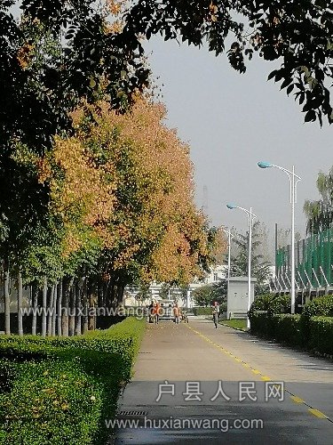 IMG_20190930_101407.jpg