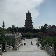 100b170000010uherF63A_D_180_180.jpg