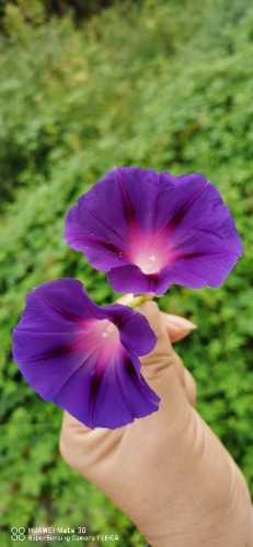 IMG_20220913_073656.jpg