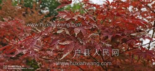 IMG_20221013_171727.jpg