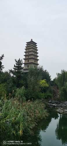 IMG_20221013_180436.jpg