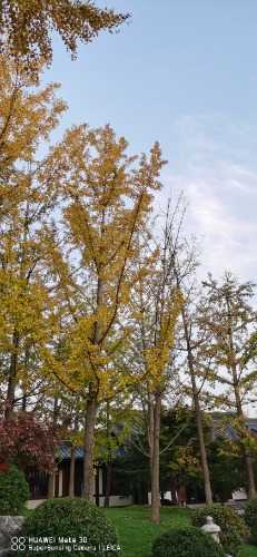 IMG_20221017_174916.jpg