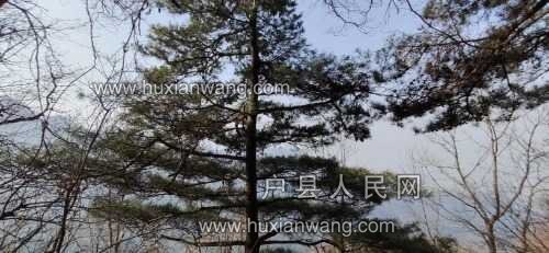 IMG_20221210_142744.jpg