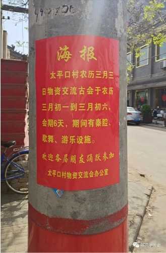 IMG_5293.jpeg