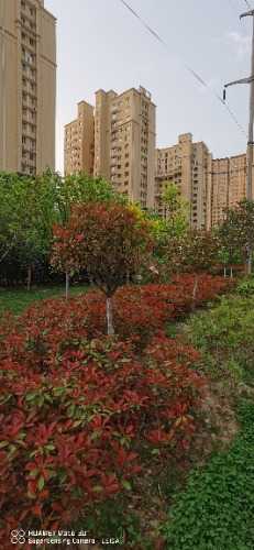 IMG_20230417_071217.jpg