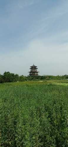 IMG_20230620_102946.jpg
