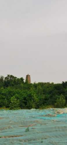 IMG_20230620_100933.jpg