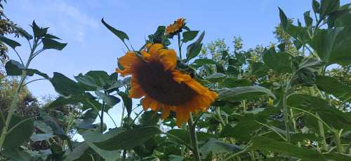 IMG_20240618_190139.jpg