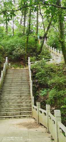 IMG_20240725_094748.jpg