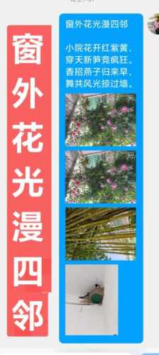mmexport7270b6970d8a68916e1301854e58281e_1715222945409.jpeg