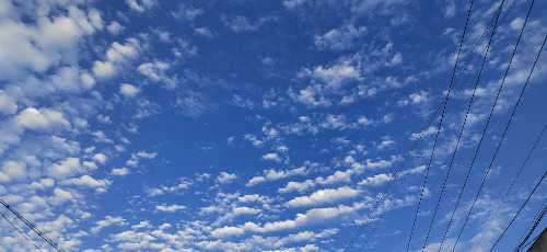 IMG_20250929_174156.jpg