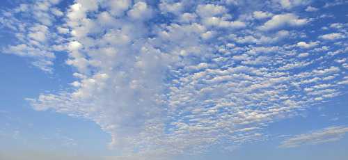 IMG_20250929_175007.jpg