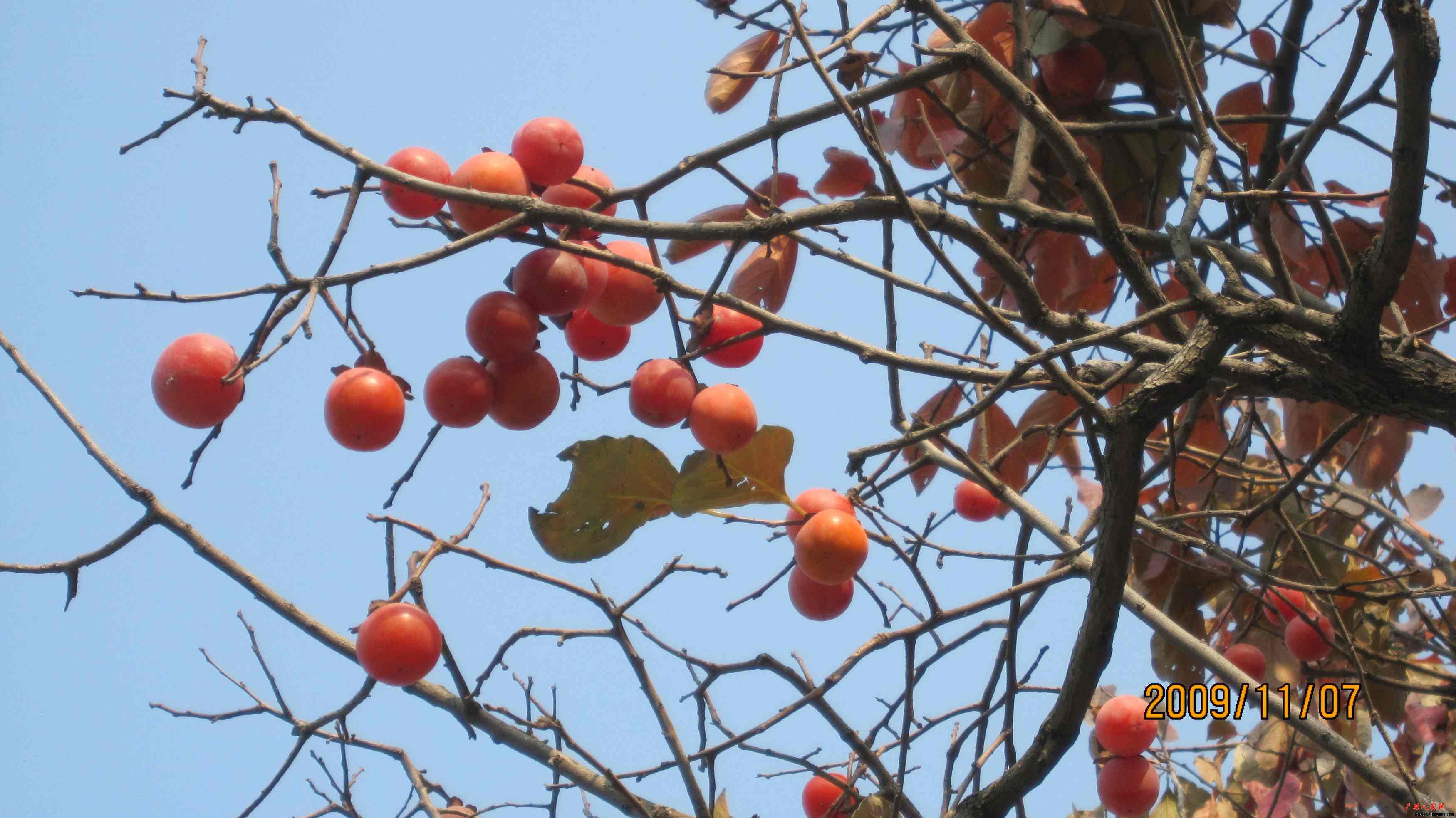 2009.11.7 154.jpg