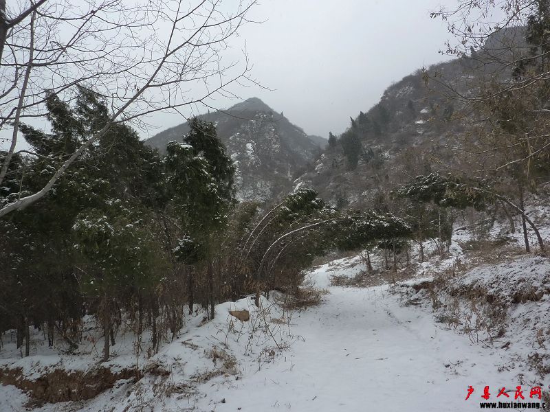 P1030273.jpg