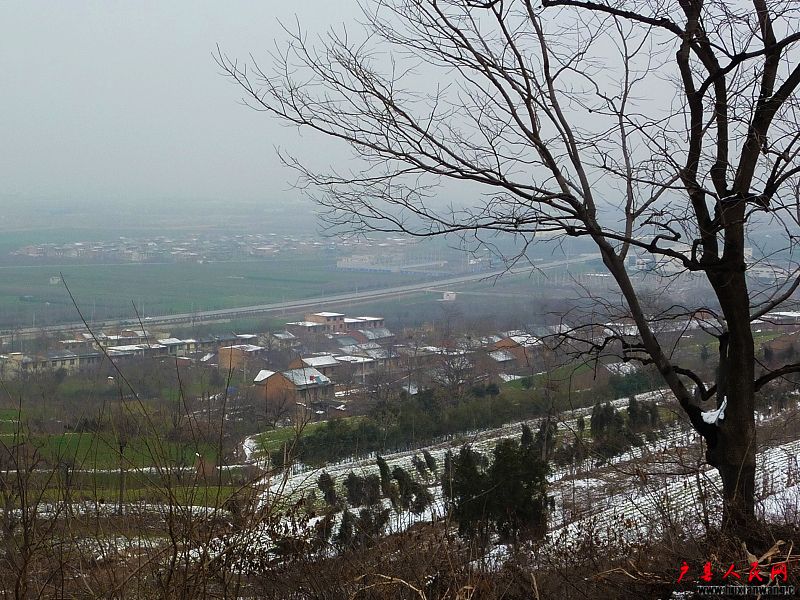 P1030314.jpg