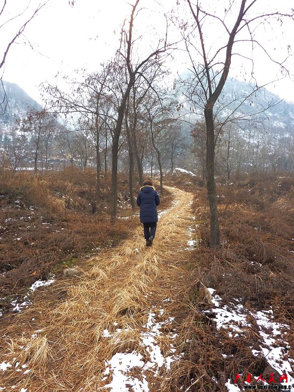 P1030303.jpg