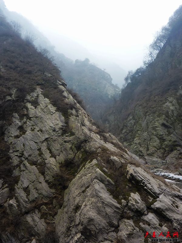 P1020969.jpg