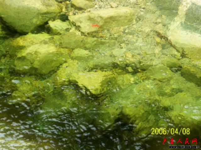 100_1258.JPG