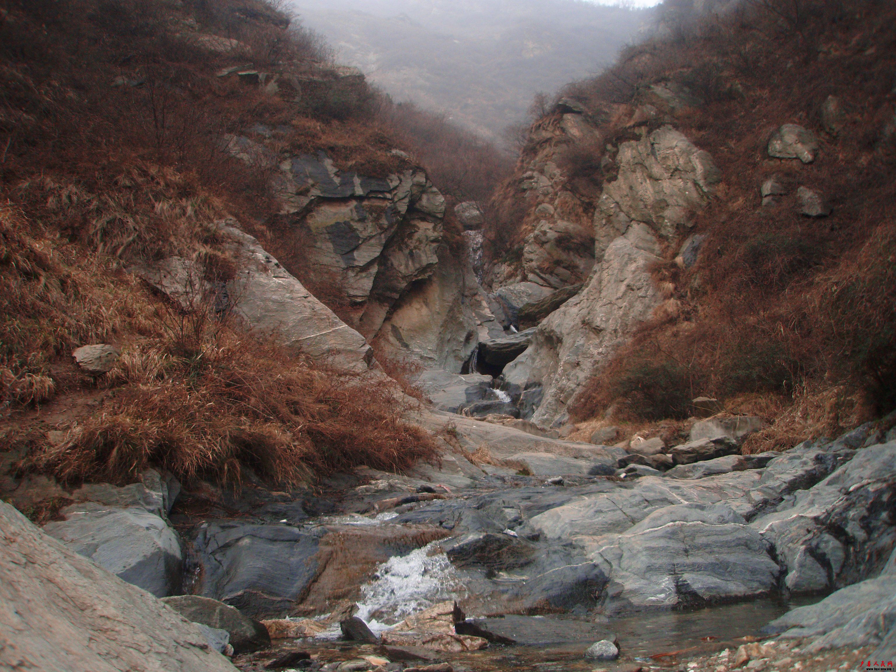 P3130030.JPG
