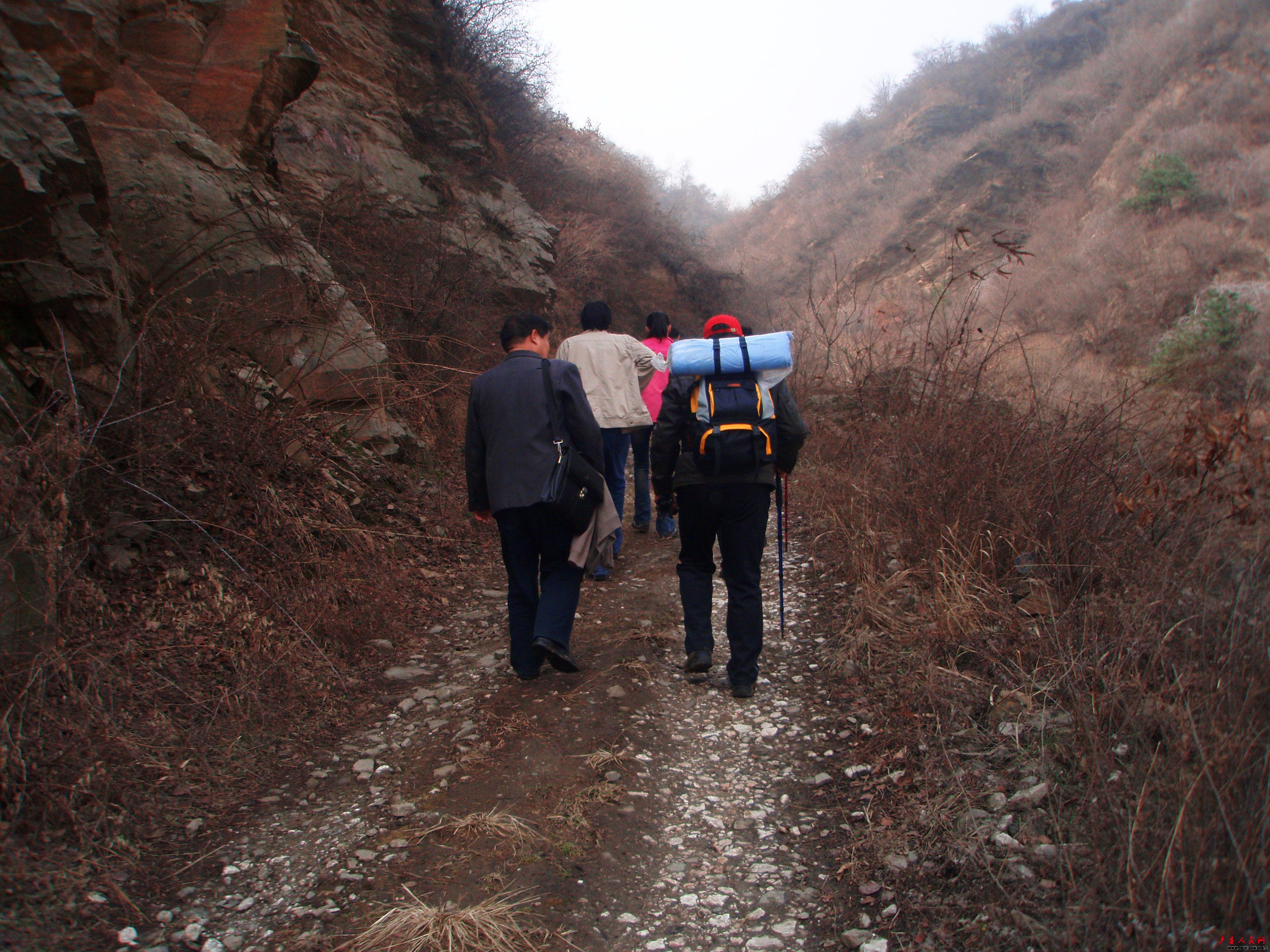 P3130042.JPG