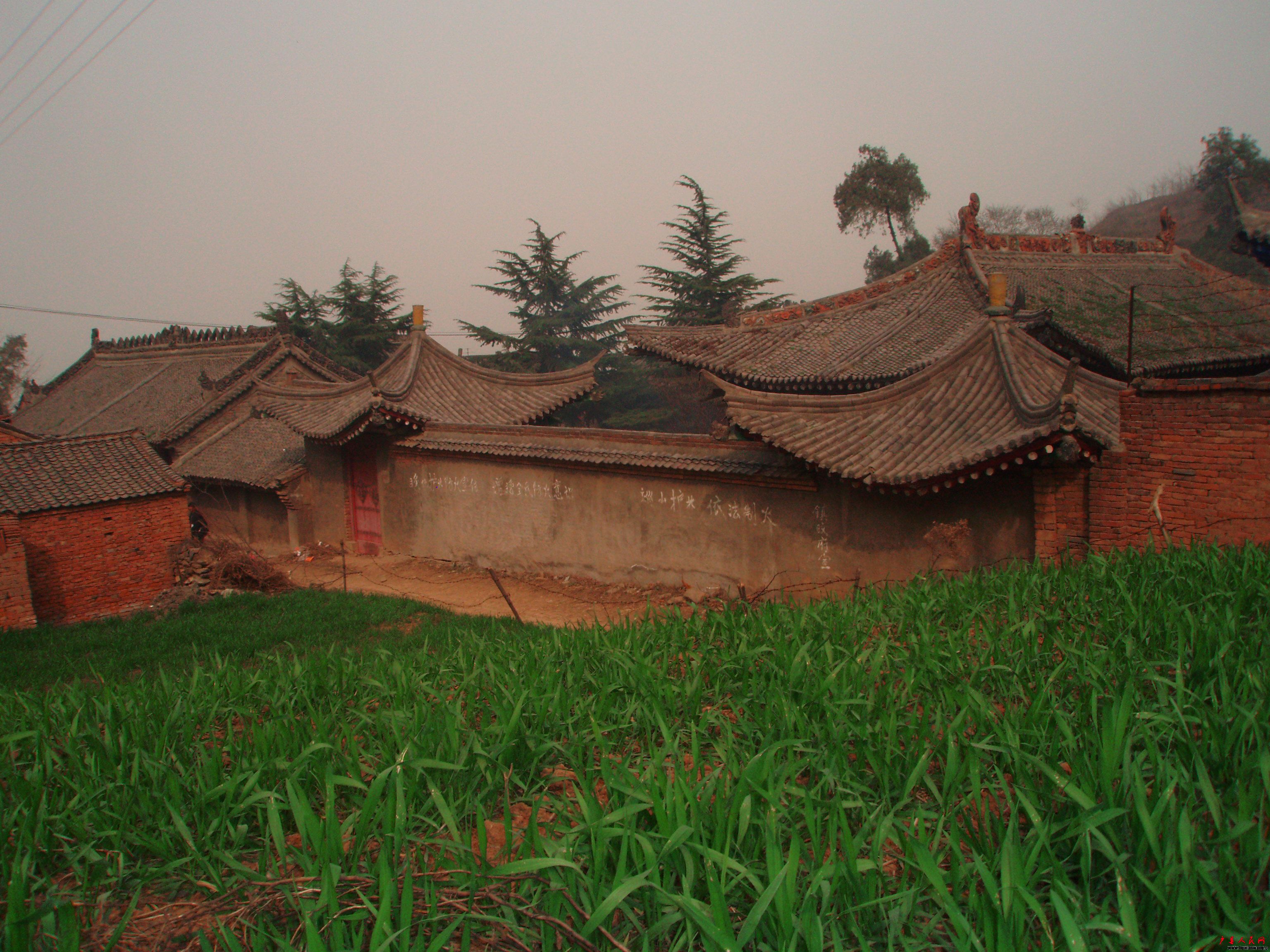 P3130064.JPG