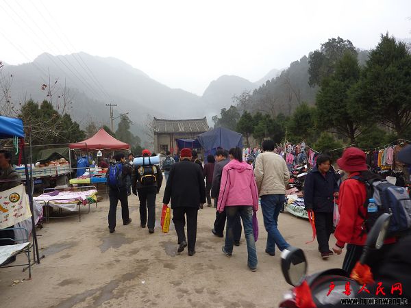 P1030539.jpg