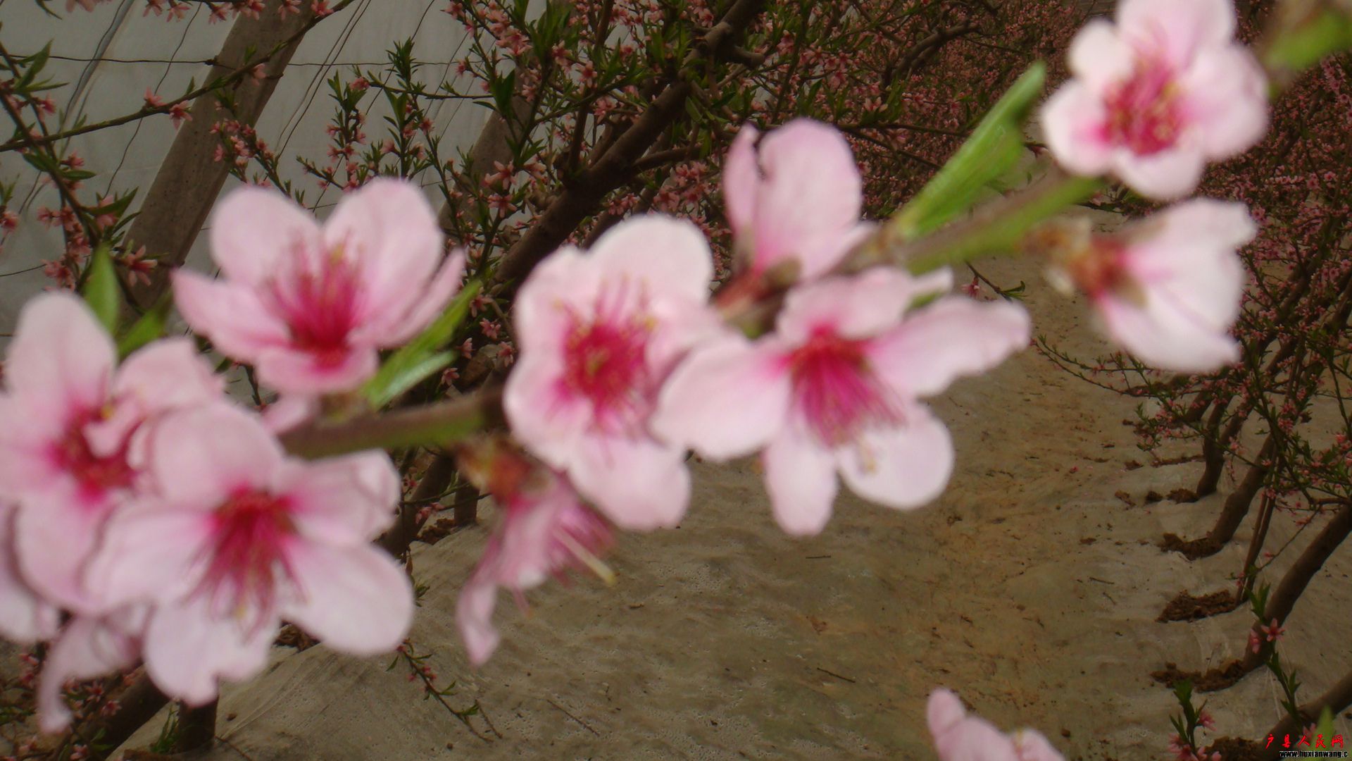 DSC05410.JPG
