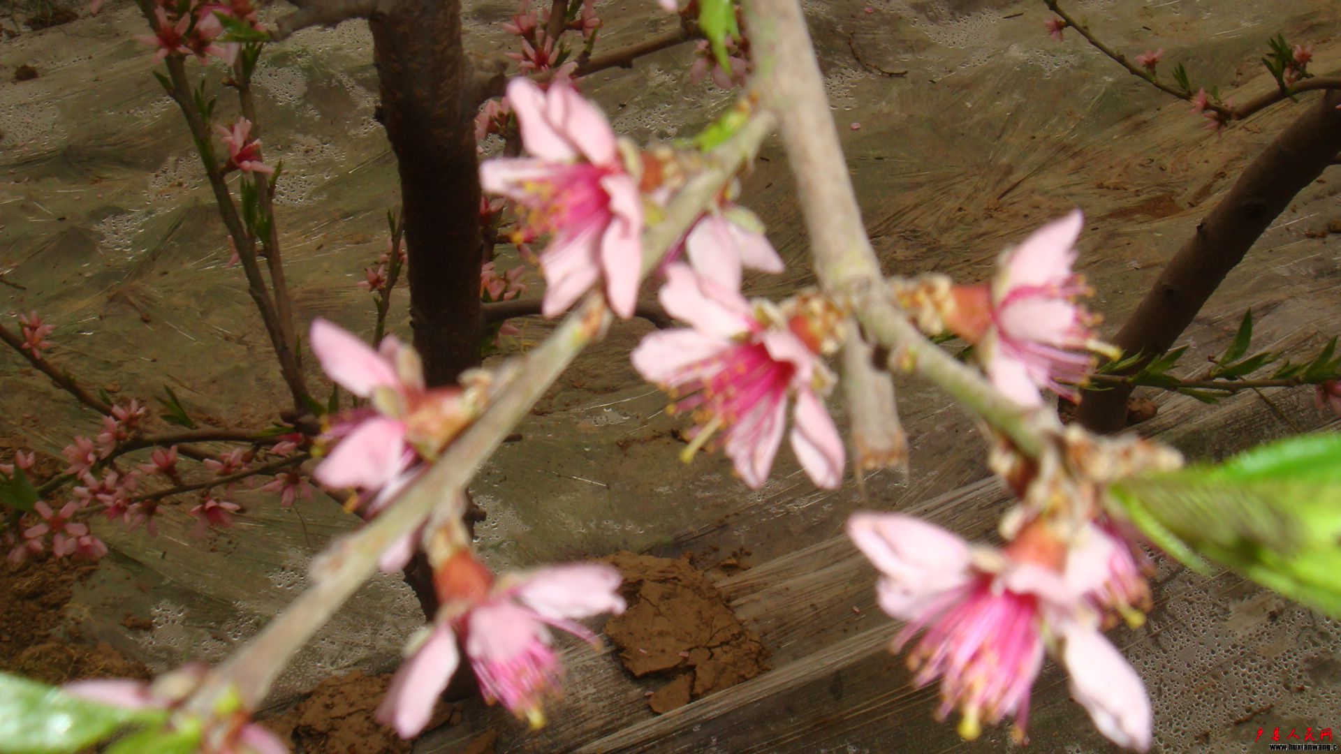 DSC05401.JPG