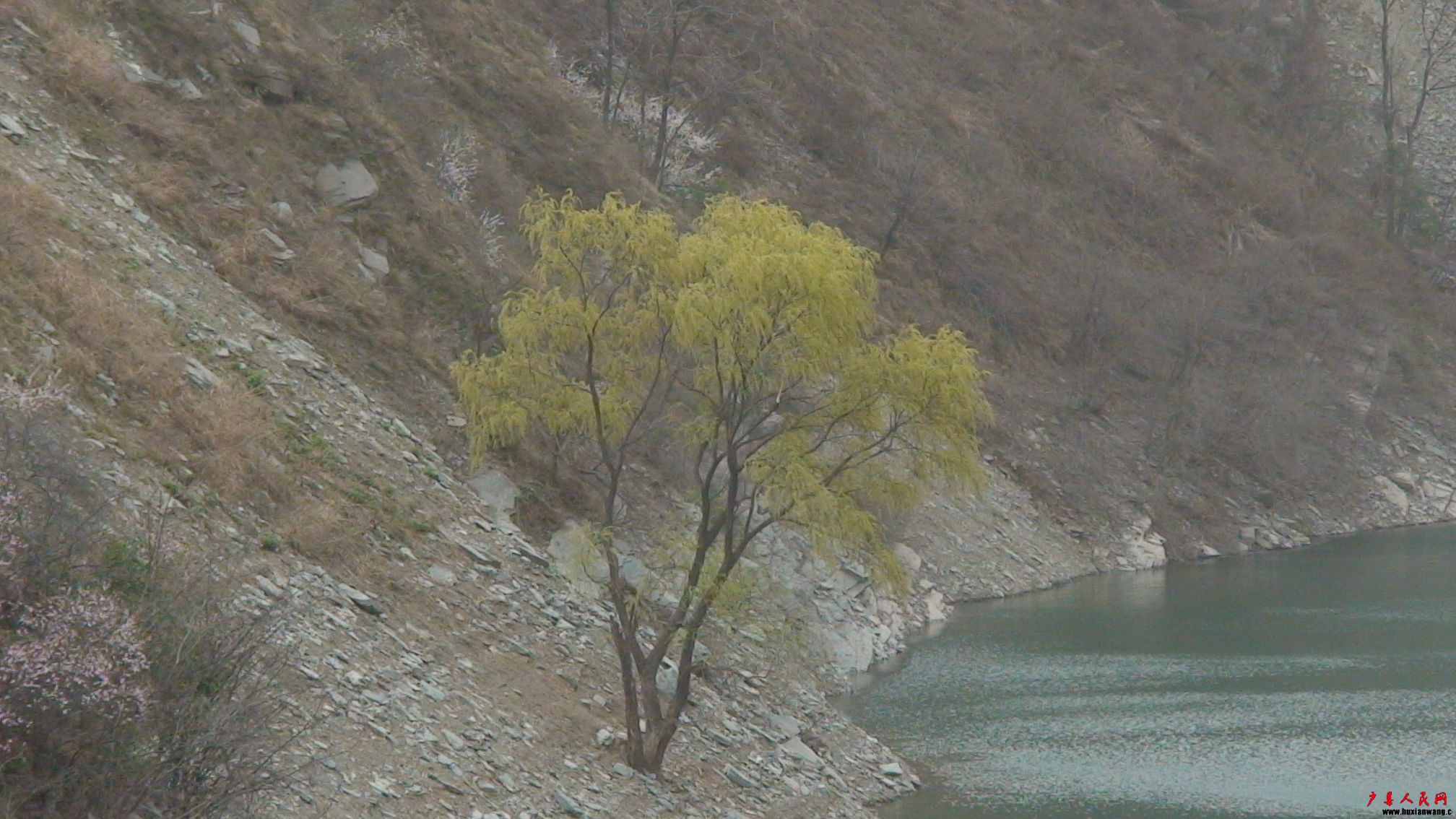 DSC00636.JPG