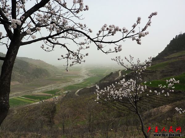 P1030838.jpg