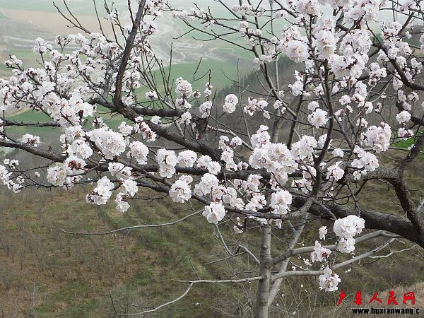P1030840.jpg