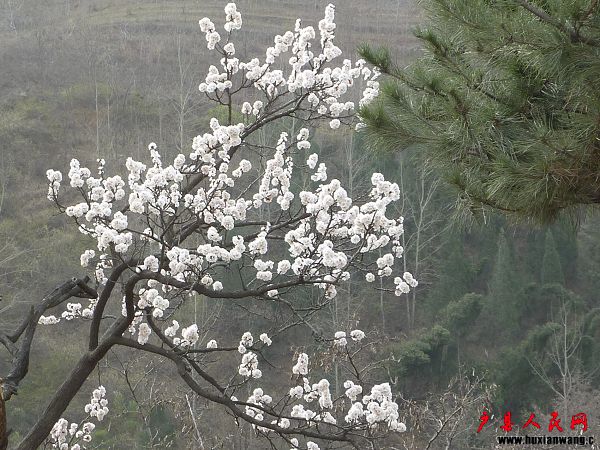 P1030841.jpg