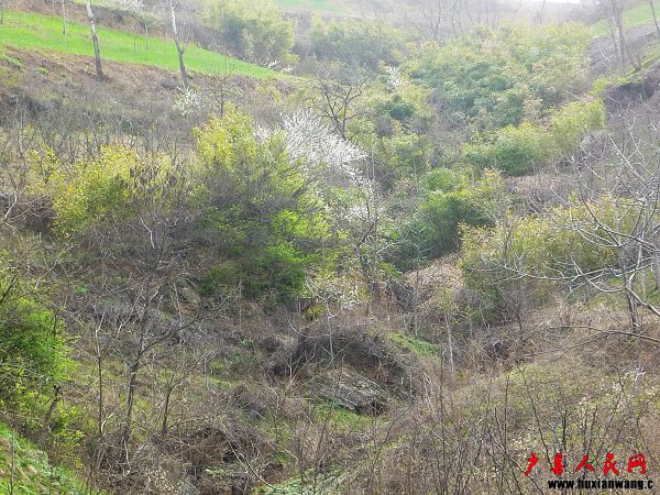 P1030837.jpg