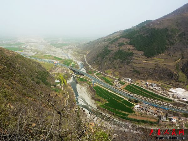 P1030990.jpg