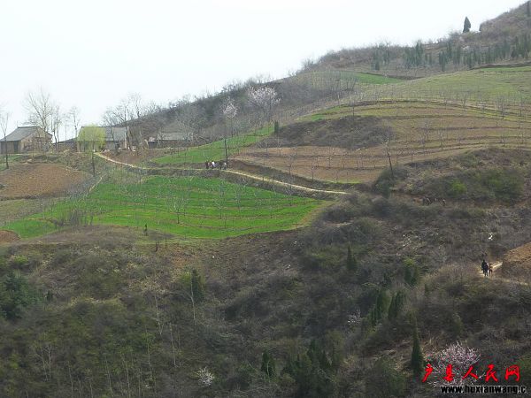P1030944.JPG