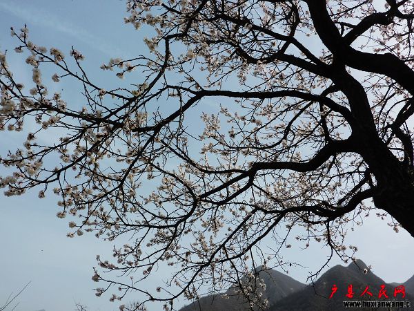 P1030788.jpg