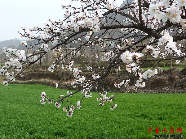 P1030793.jpg