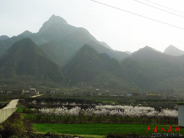 P1030805.jpg