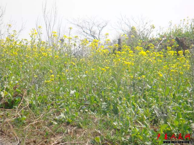 DSC05592.JPG