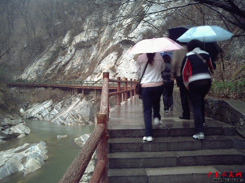 conew_20100324104534.jpg