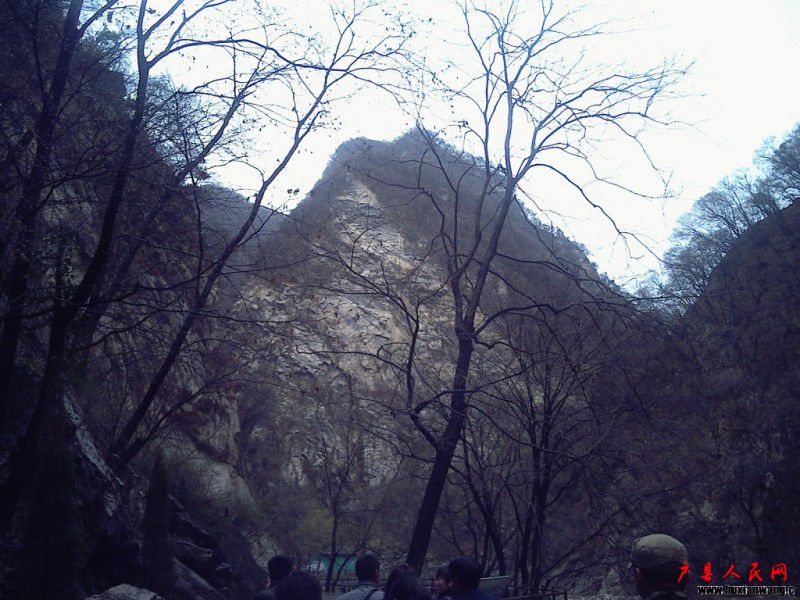 conew_19800106003957.jpg