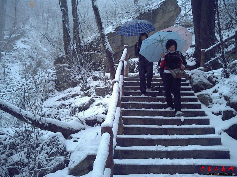 conew_20100324122800.jpg