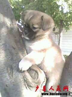 IMG0055A.jpg