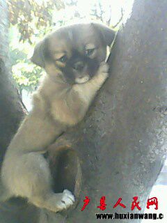 IMG0054A.jpg