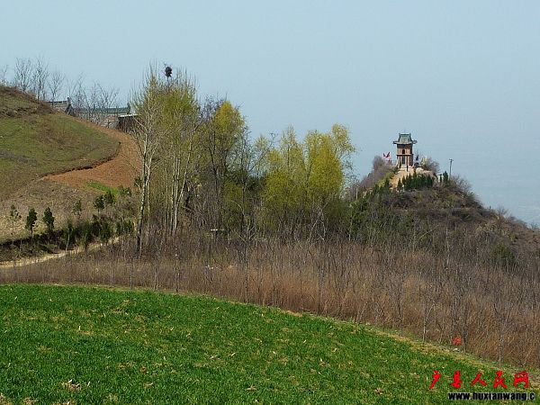 P1040157.jpg