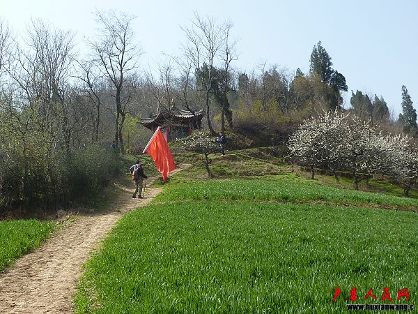 P1040098.jpg