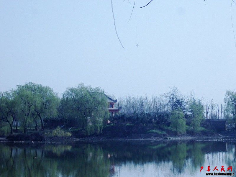 SNV89617.jpg